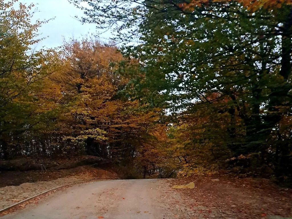 Complexul agroturistic Pe culmile bucuriei Valea Siliștii – Valea Siliștii, România