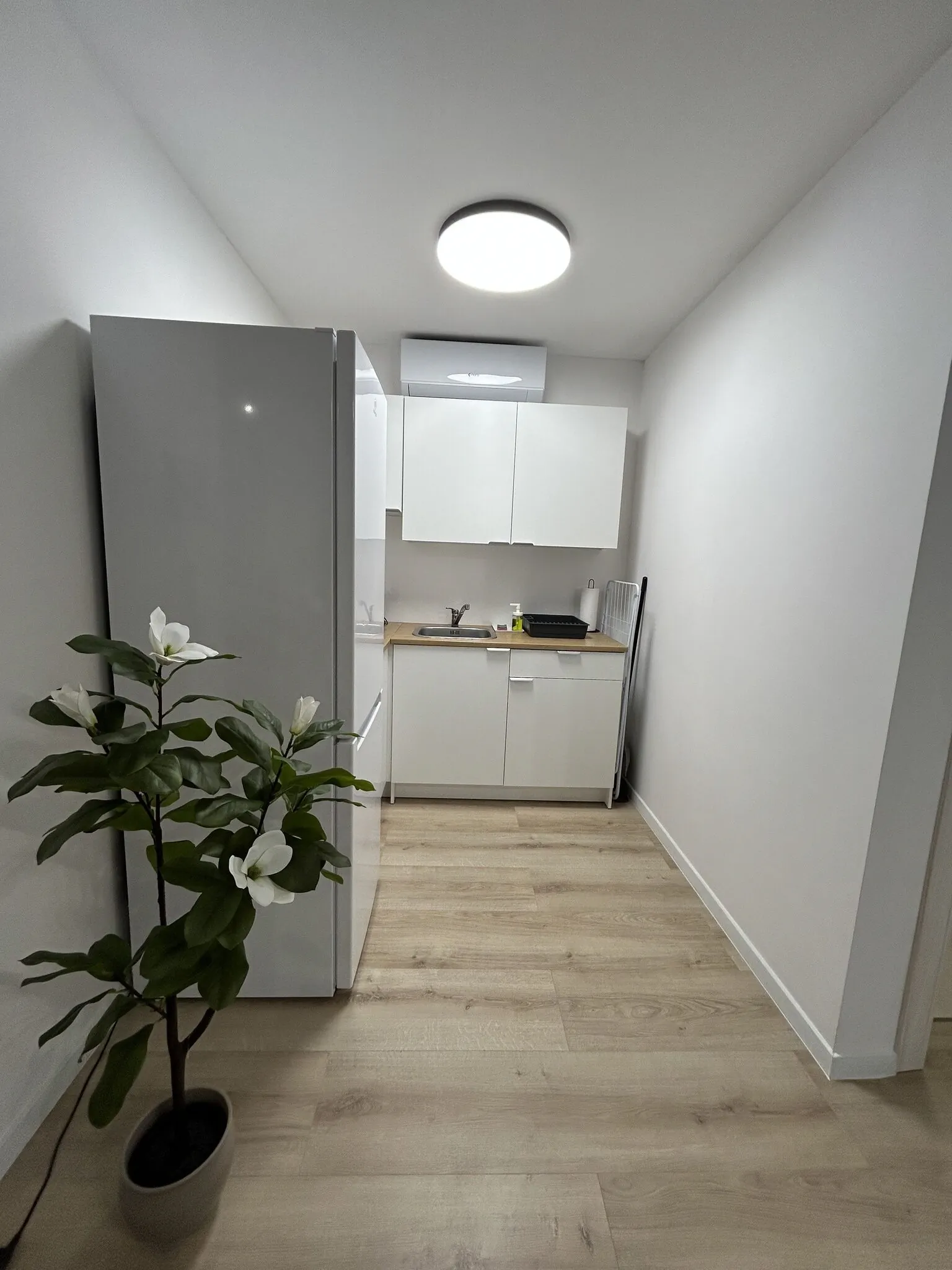 Diófás Apartman Töreki Siófok – Siófok, Ungaria