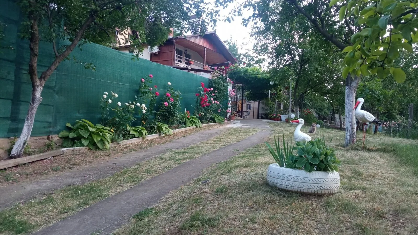 Casa Mary Băile Herculane – Băile Herculane, Rumunsko