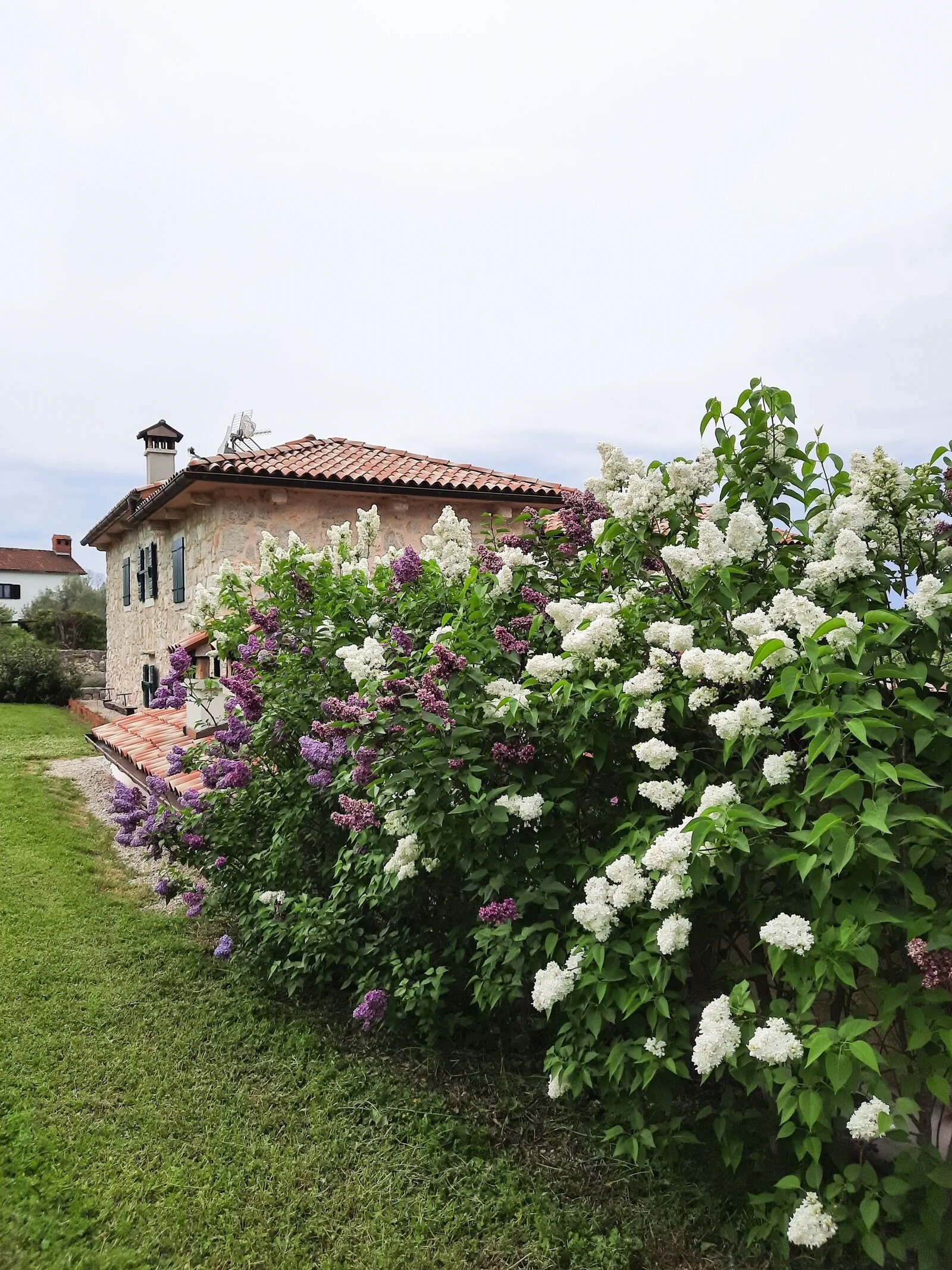 Villa Vicenca Malinska – Malinska, Croația