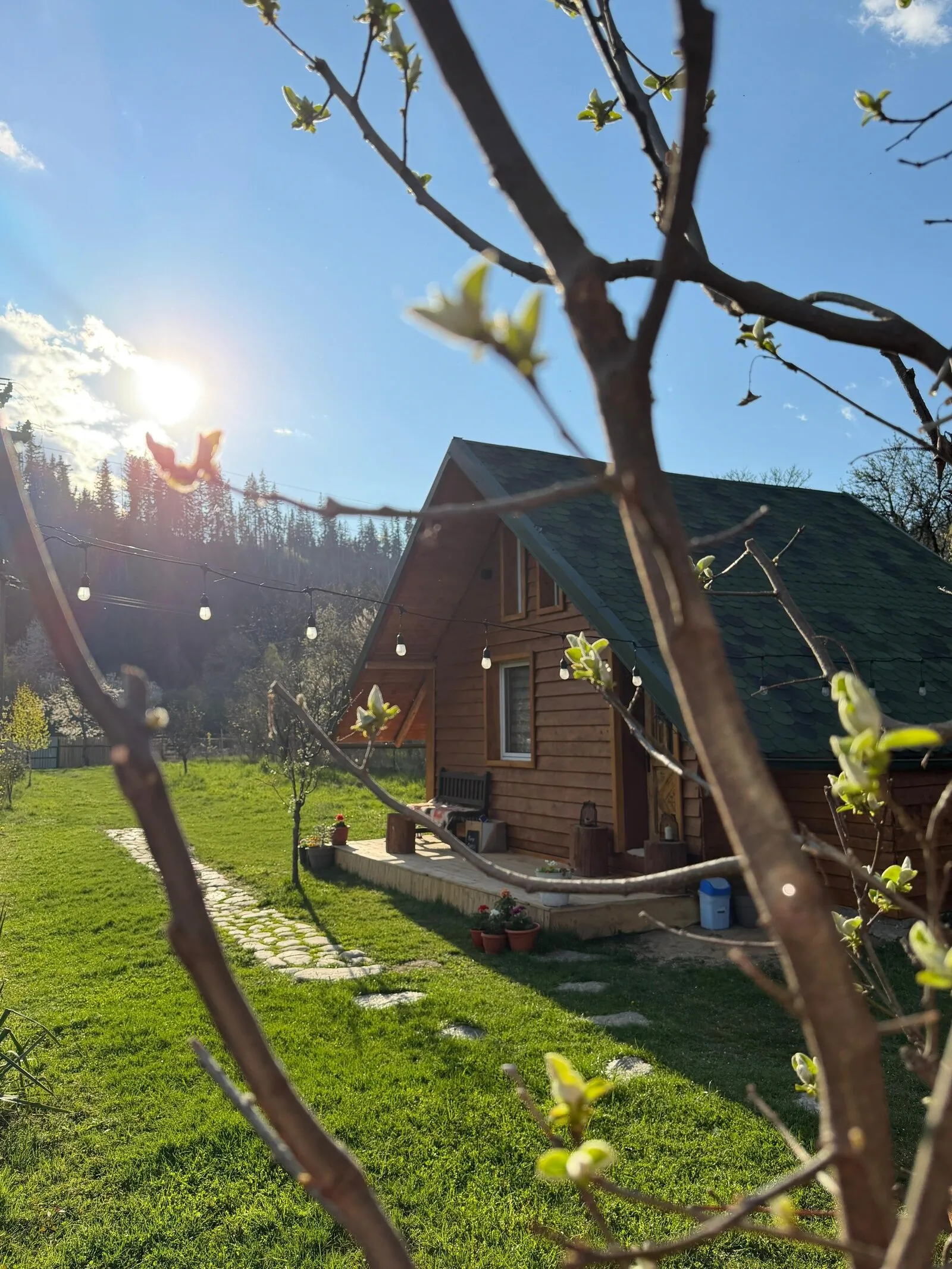 Escape Tiny Cabin Lereşti   – Lereşti, Rumunia