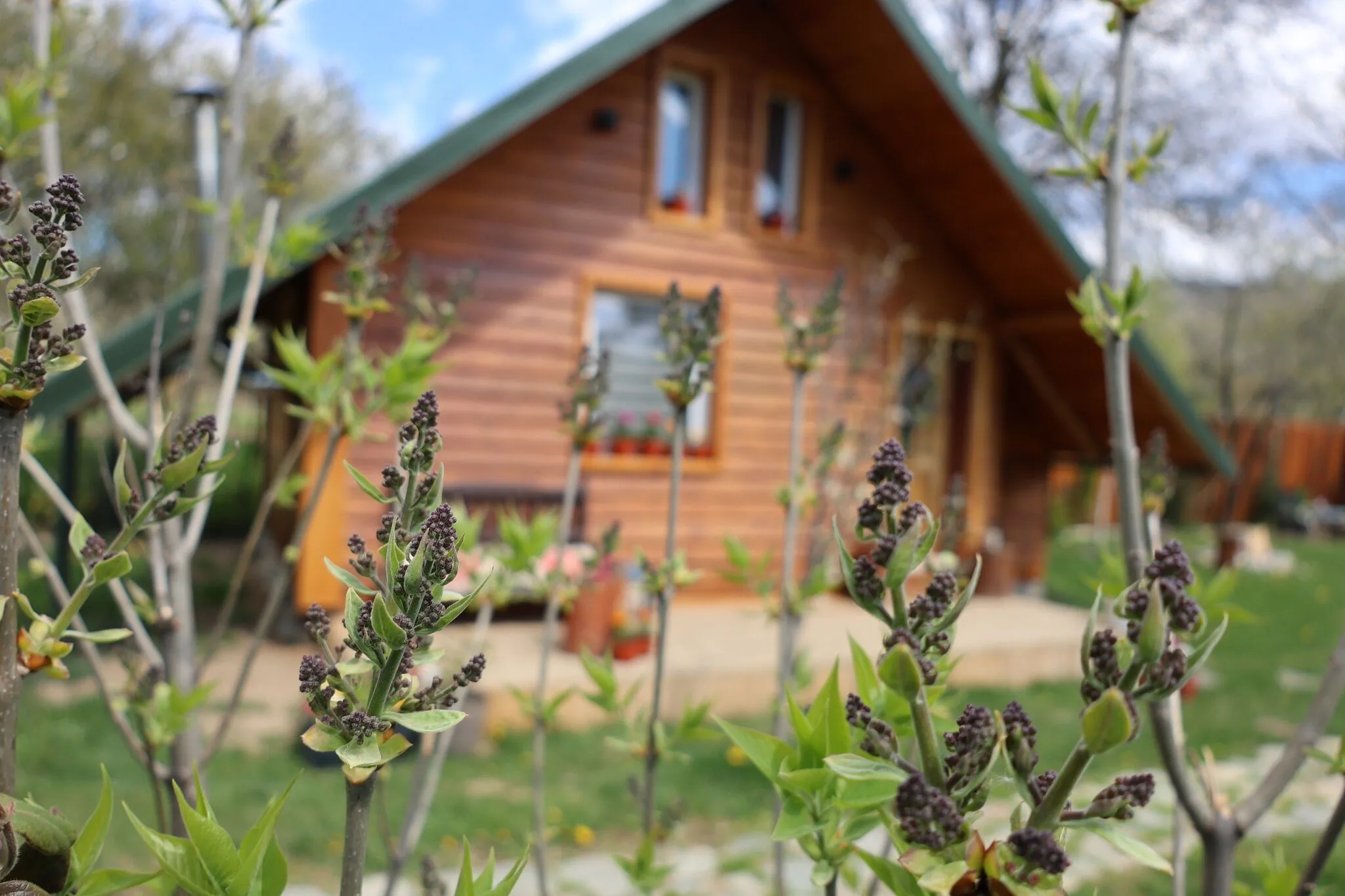 Escape Tiny Cabin Lereşti   – Lereşti, Rumunia