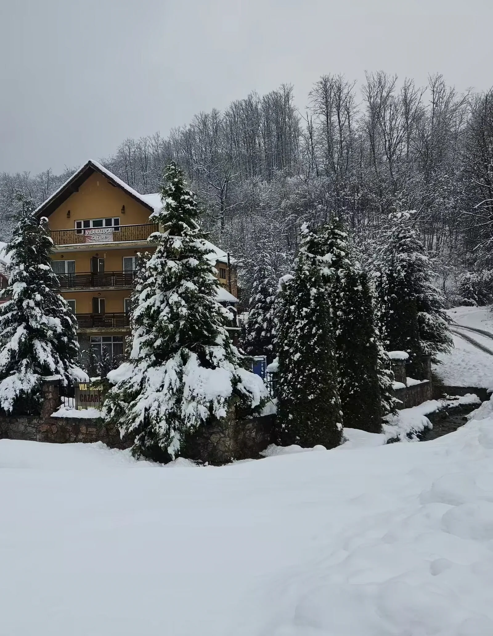 Pensiunea Raluca Moneasa – Moneasa, România