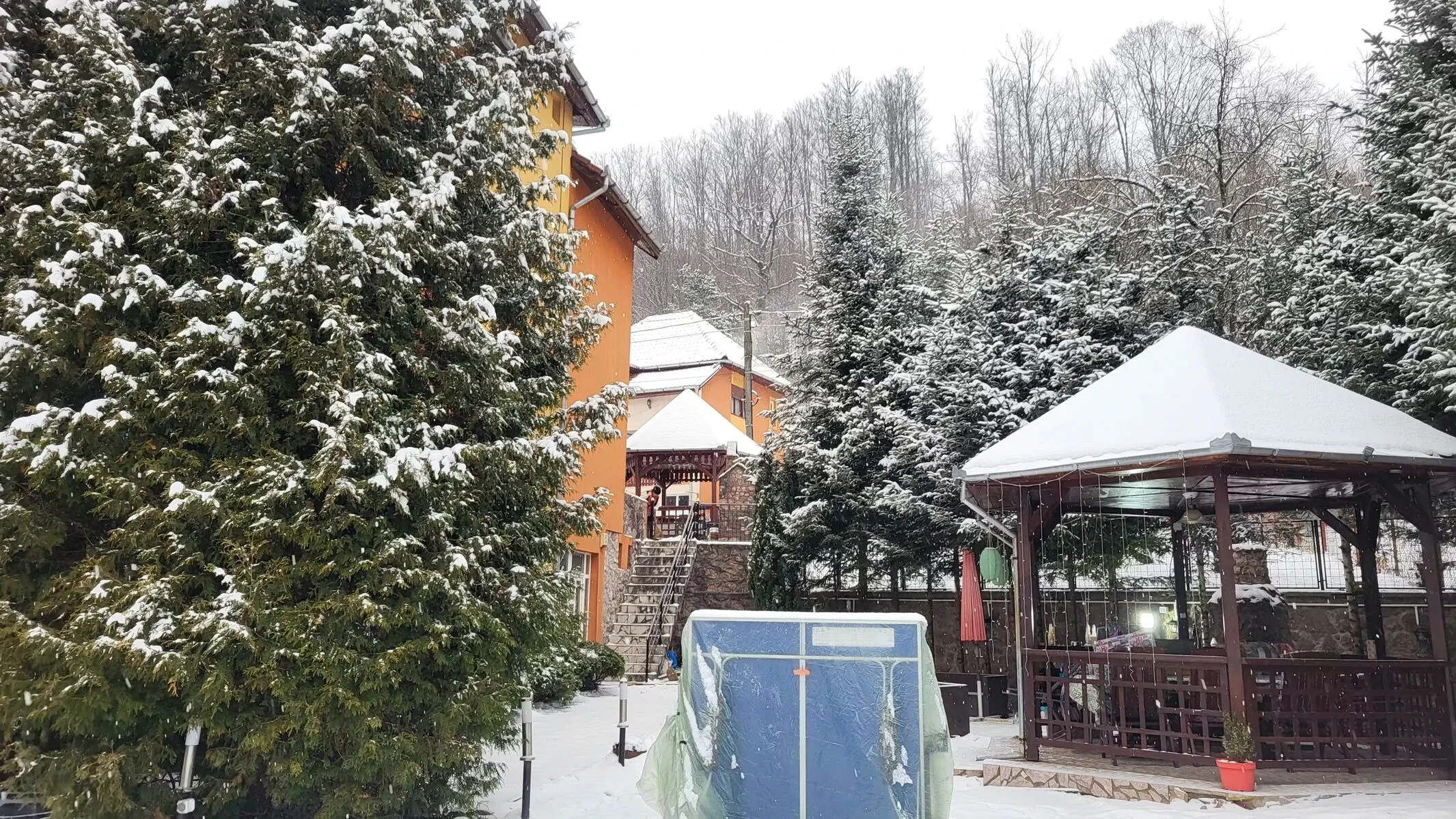 Pensiunea Raluca Moneasa – Moneasa, România