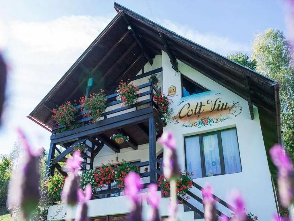 Cabana Colț Viu Bran – Bran, România