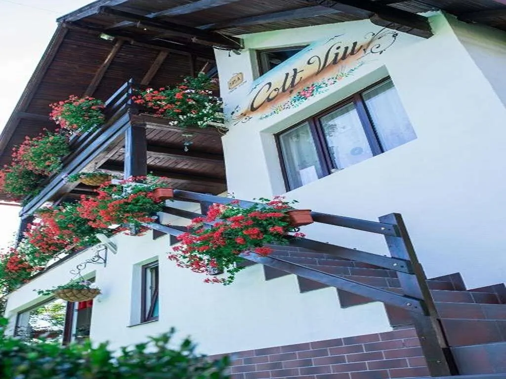 Cabana Colț Viu Bran – Bran, România