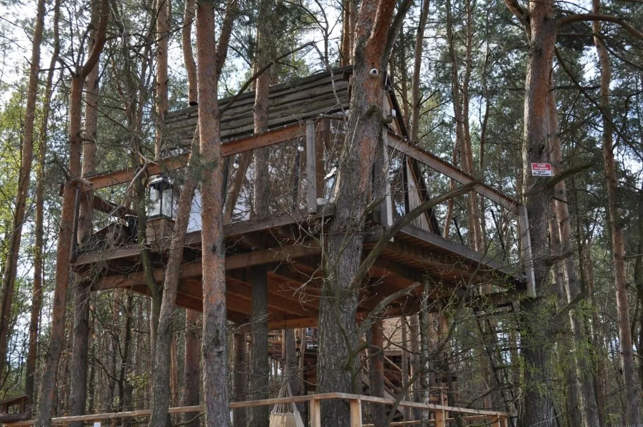 Domek Leśna Przystań Rudka Gołębska – Rudka Gołębska, Polonia