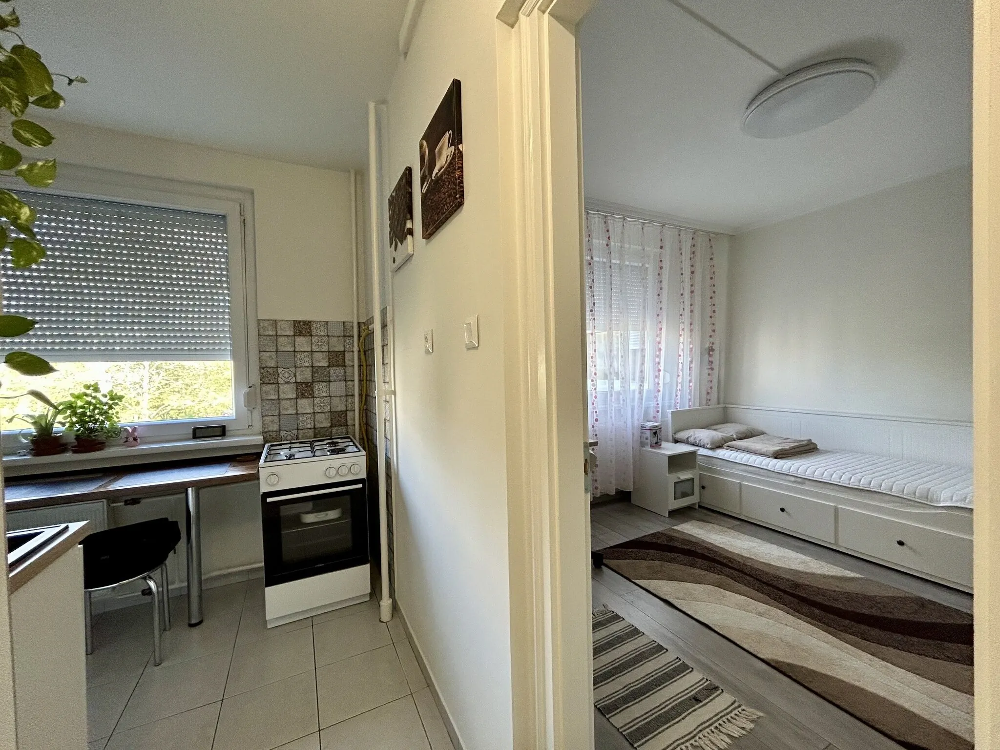 Tulipán Apartman Csongrád – Ciongrad, Ungaria