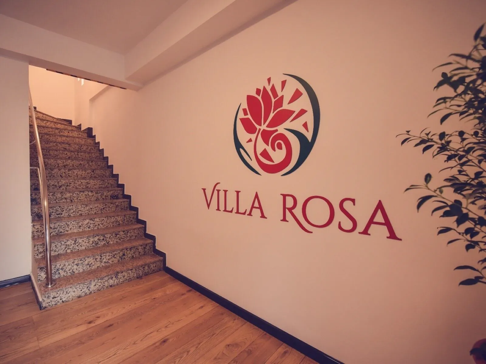 Villa Rosa Timișoara – Timișoara, România