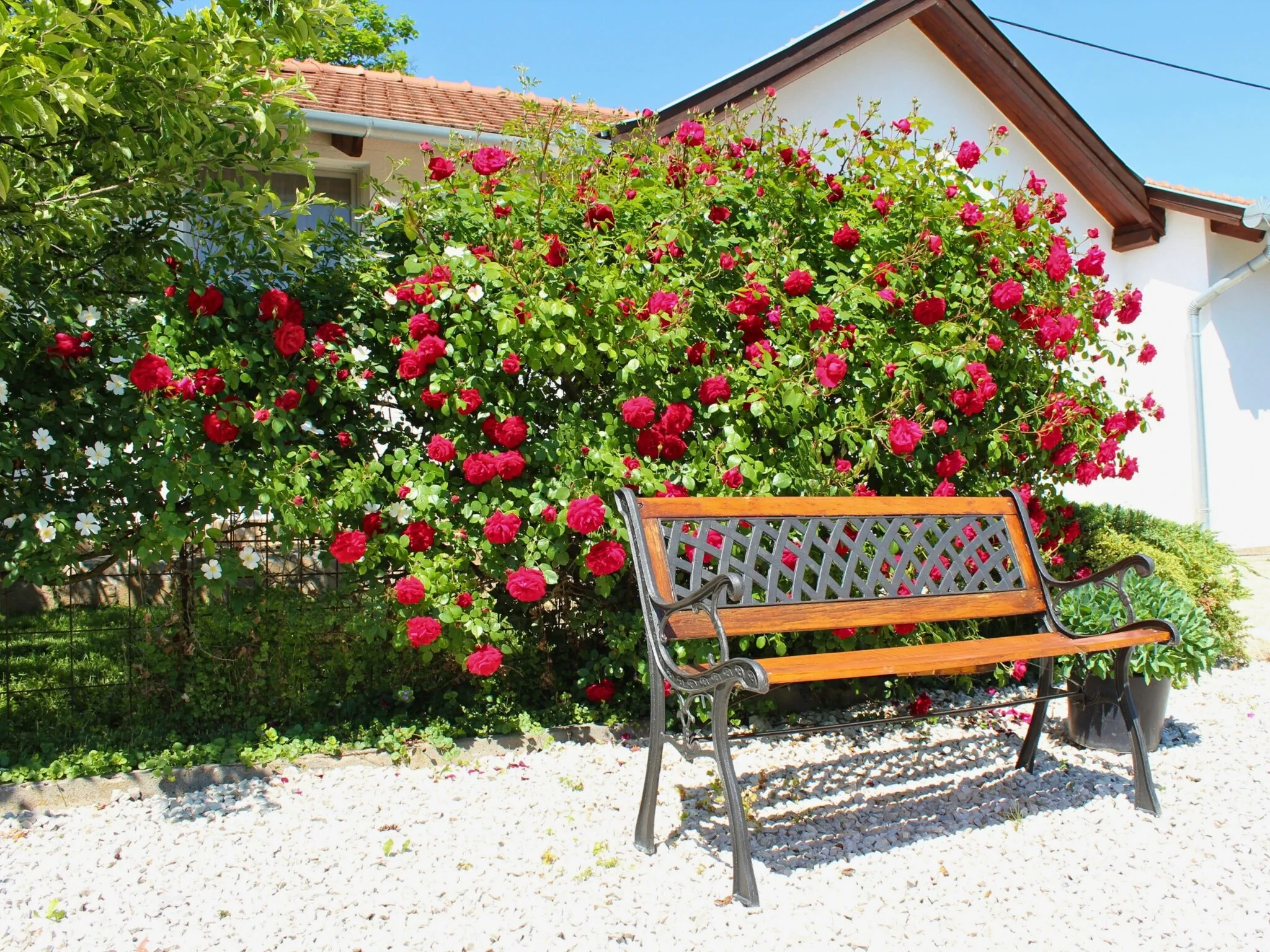 The Secret Garden - Keszthely – Keszthely, Maďarsko