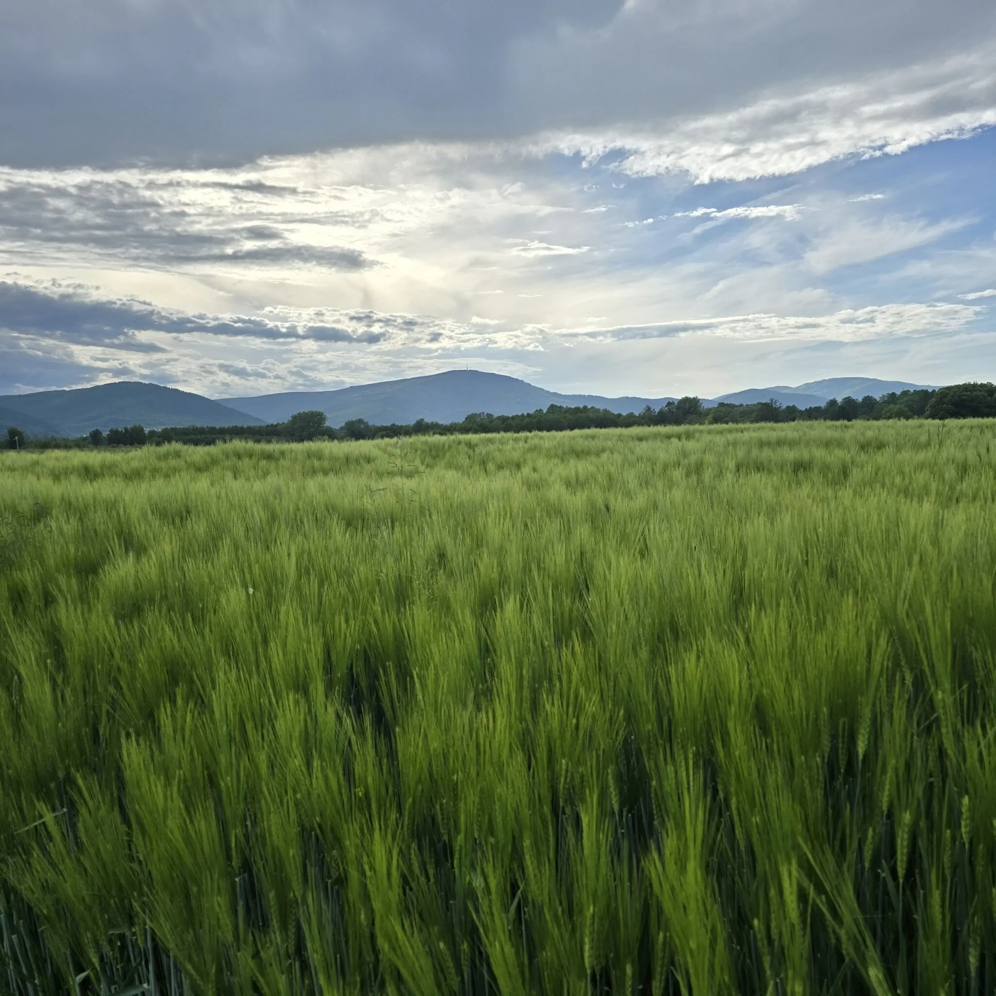Domek Widokowo Radziechowy – Radziechowy, Polonia