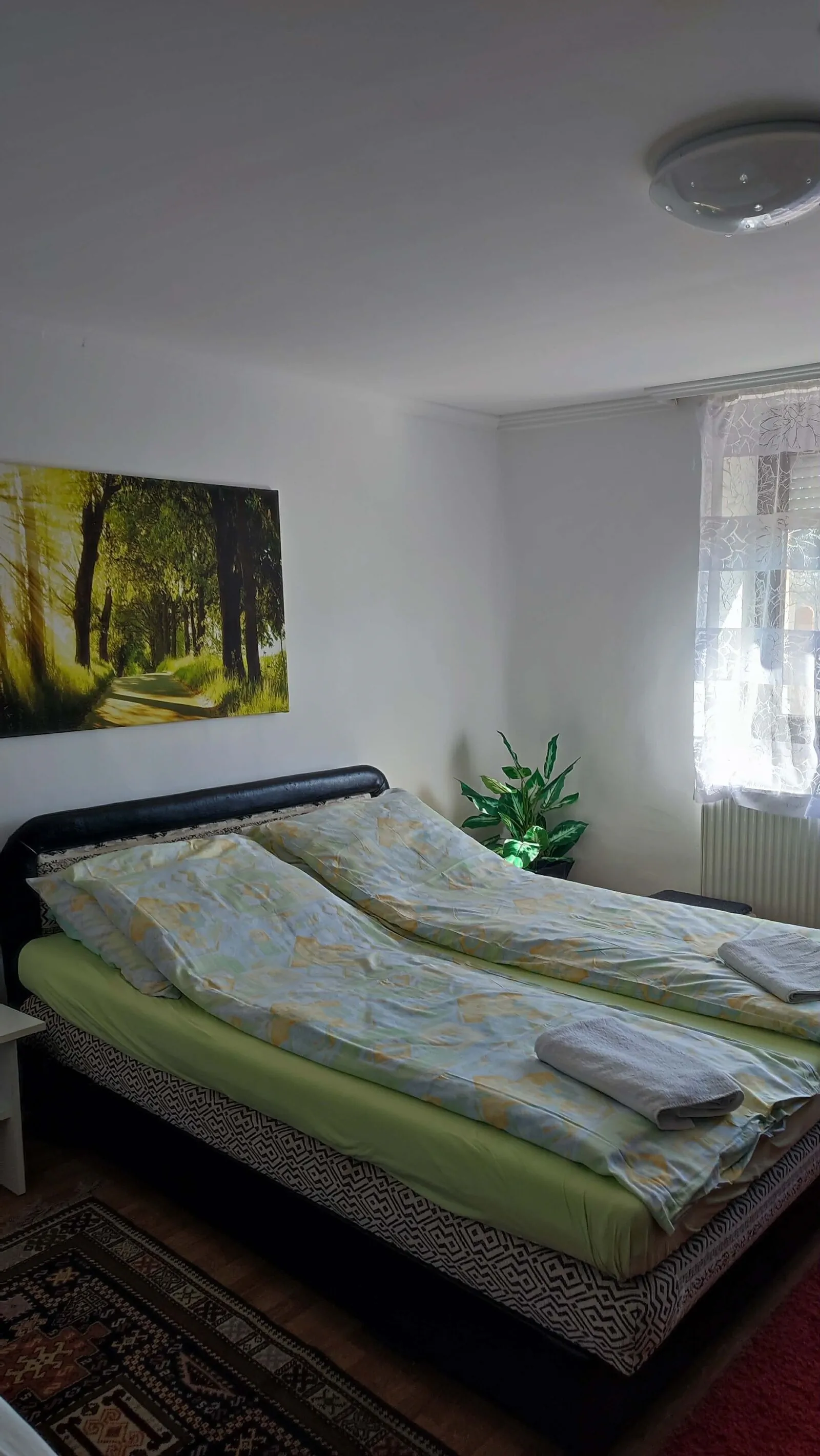 Falusi Vendégház Körösszakál - foto 3