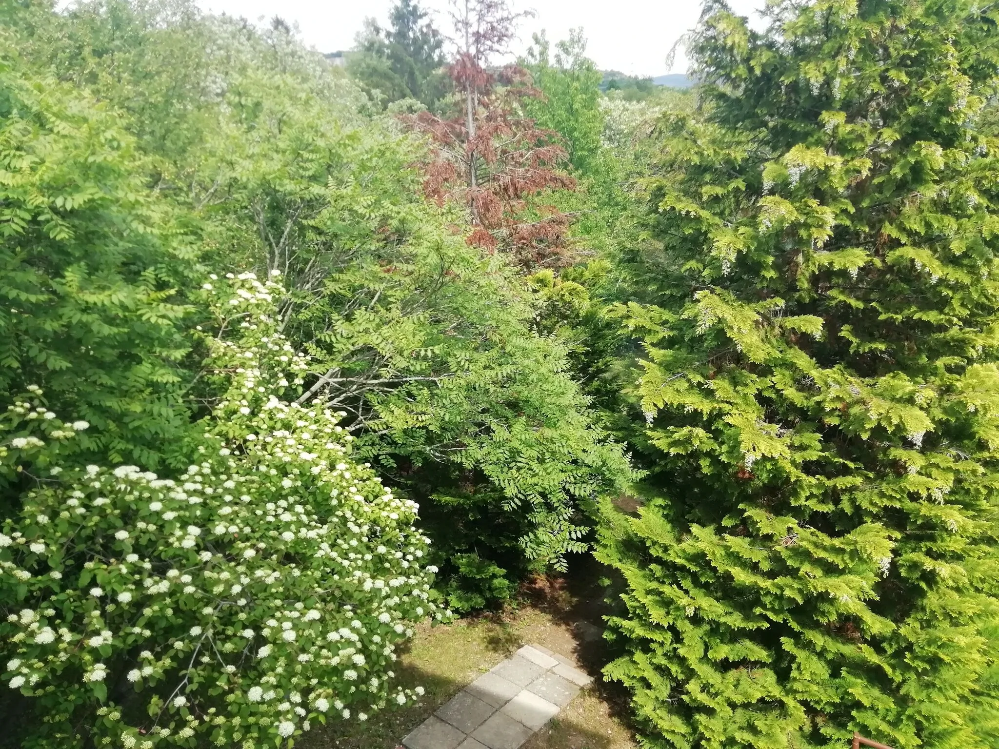 City View Eger – Eger, Ungaria