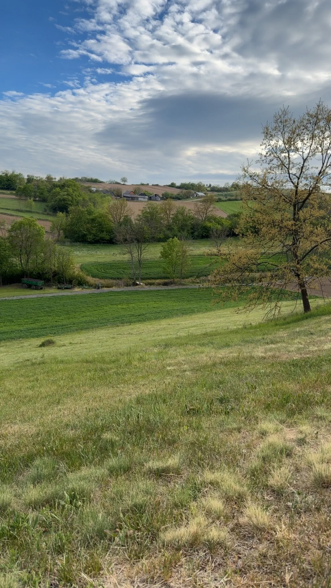 Casa Ili House, Home & Retreat Cehal – Cehal, România