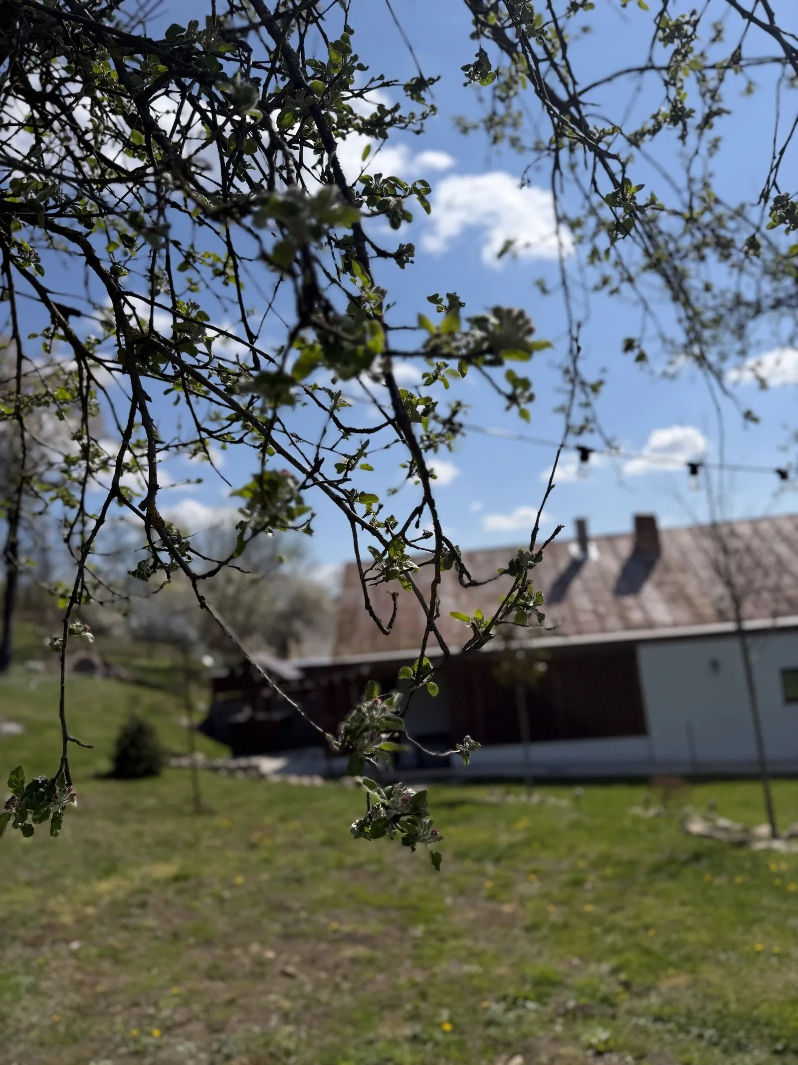 Casa Ili House, Home & Retreat Cehal – Cehal, România