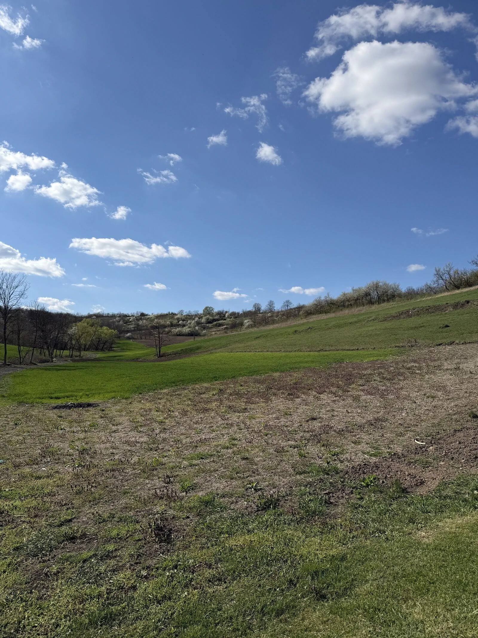 Casa Ili House, Home & Retreat Cehal – Cehal, România