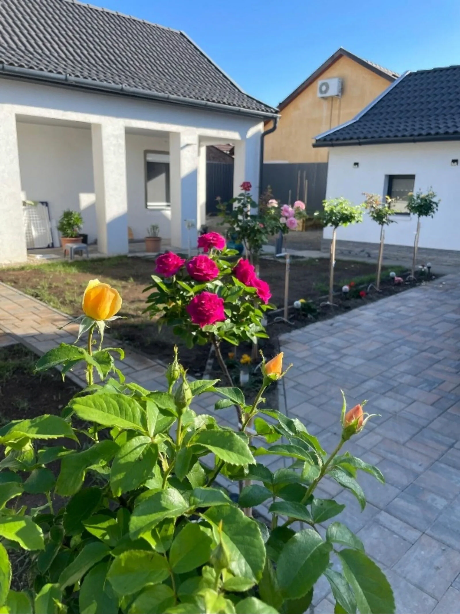 Rózsakert Apartman Gyula – Giula, Ungaria