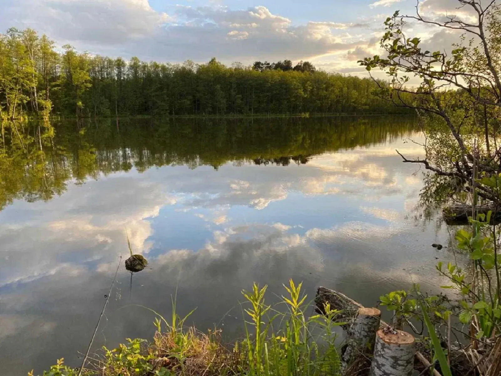 Noclegi U Wojtka Zamordeje – Zamordeje, Polonia