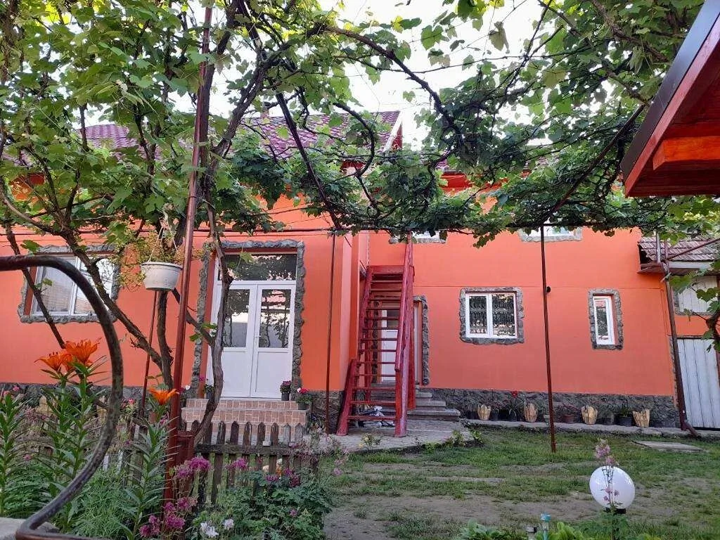 Casa Alex Cârţişoara – Cârţişoara, România