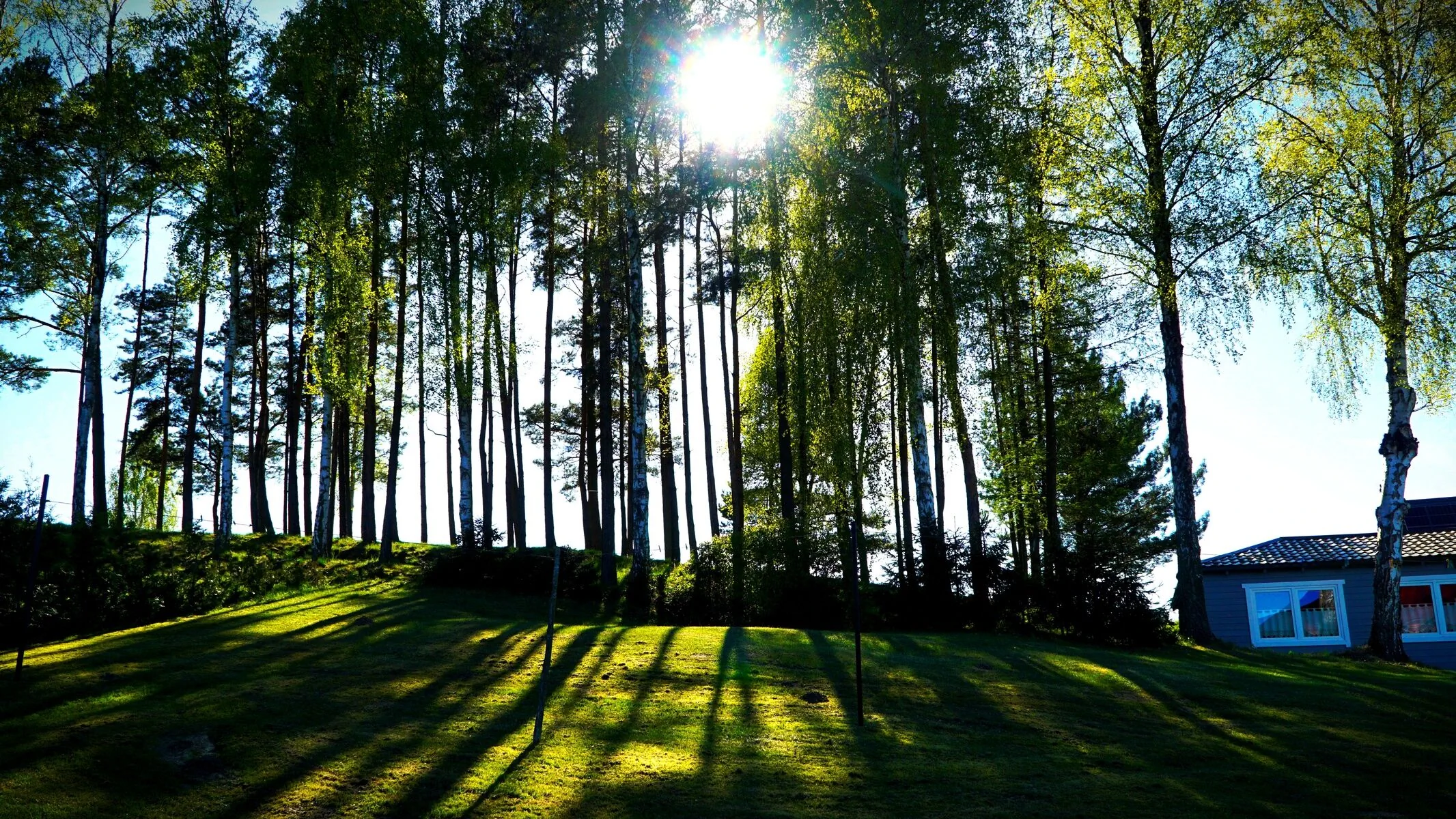 Domki letniskowe Odargowo - foto 10