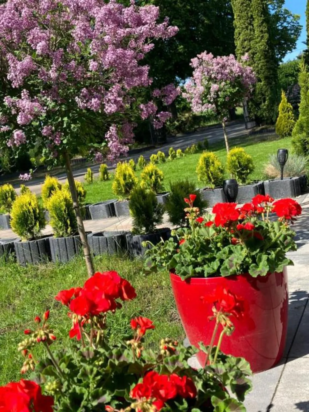 Apartament Arkadia Mrągowo – Mrągowo, Polonia