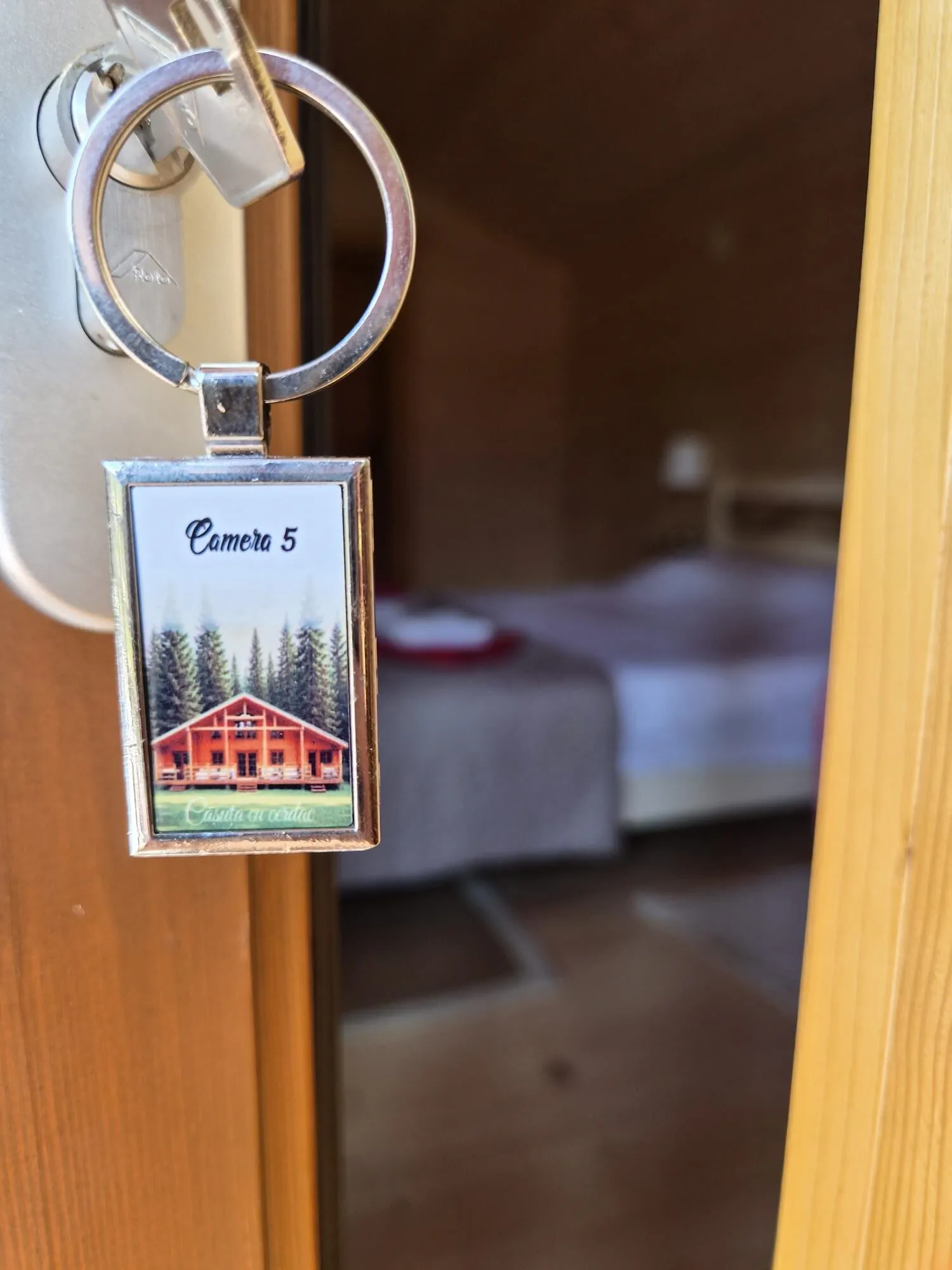 Casa cu Cerdac Şaru Dornei – Şaru Dornei, România