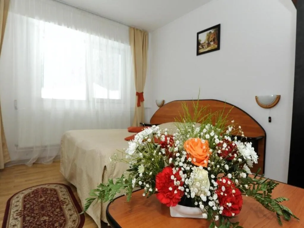 Hotel Gura Diham Bușteni – Buşteni, România