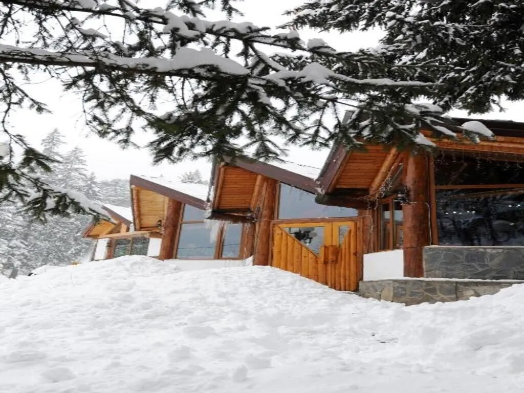 Hotel Gura Diham Bușteni – Buşteni, România
