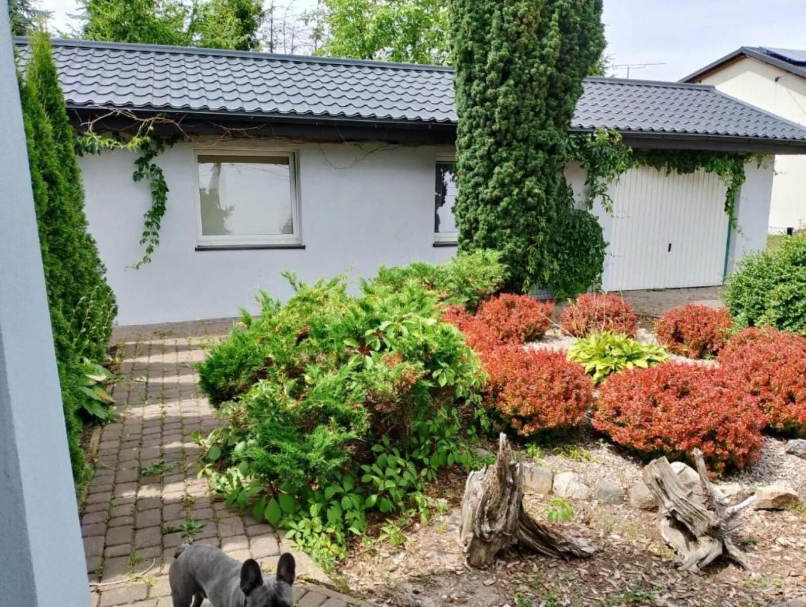 Domek Mała Tyczkówka - foto 7