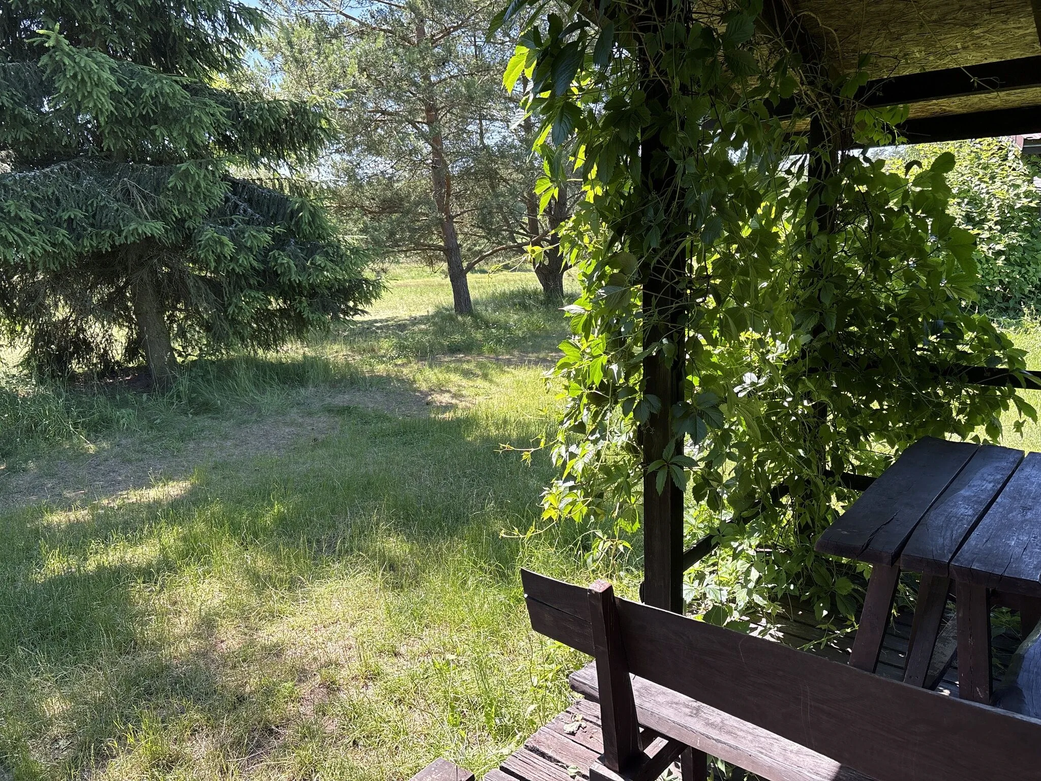 Domki Słońce Mazur Dźwierzuty – Dźwierzuty, Polonia