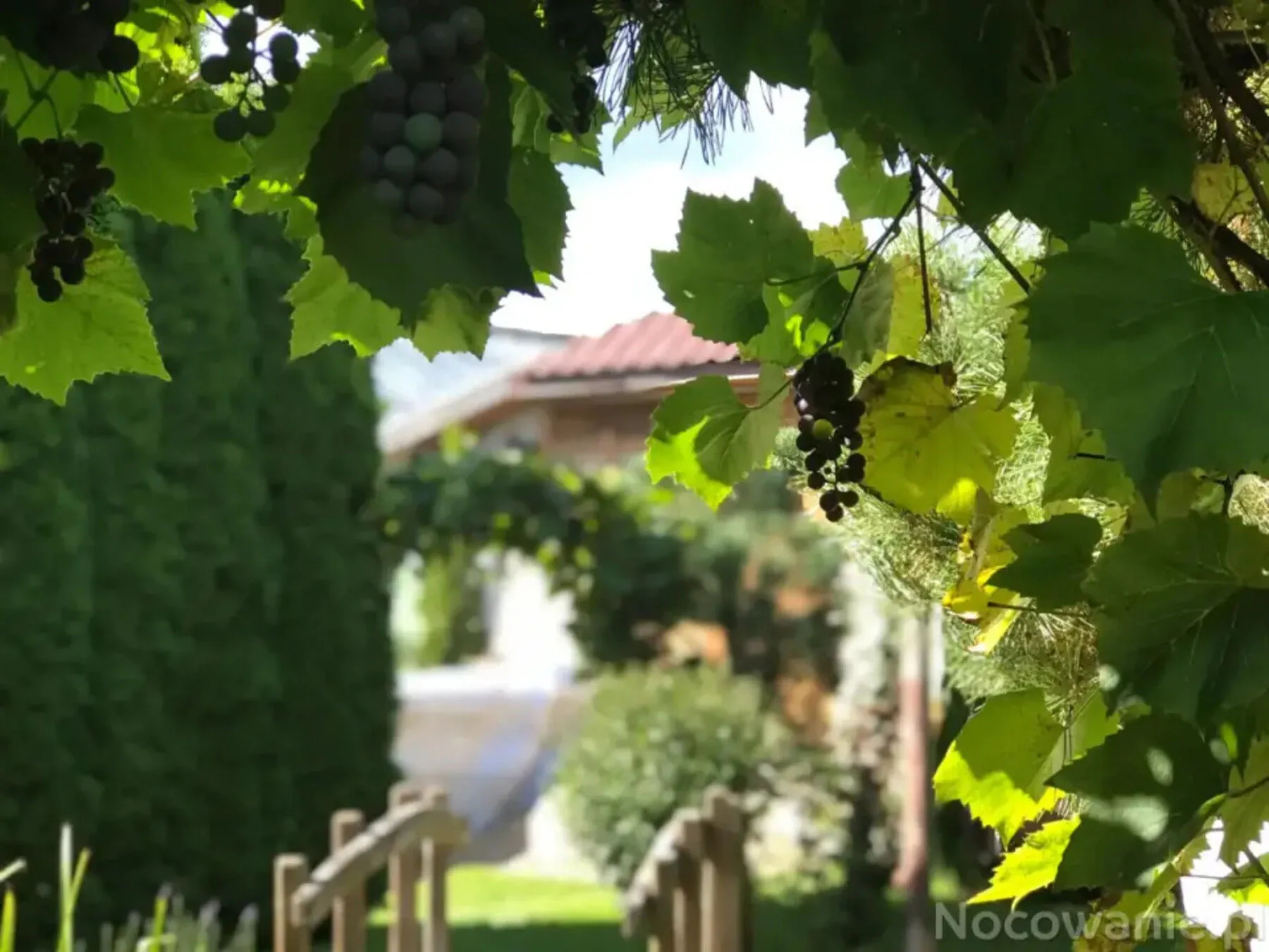 Pensjonacik Pisz – Pisz, Polonia