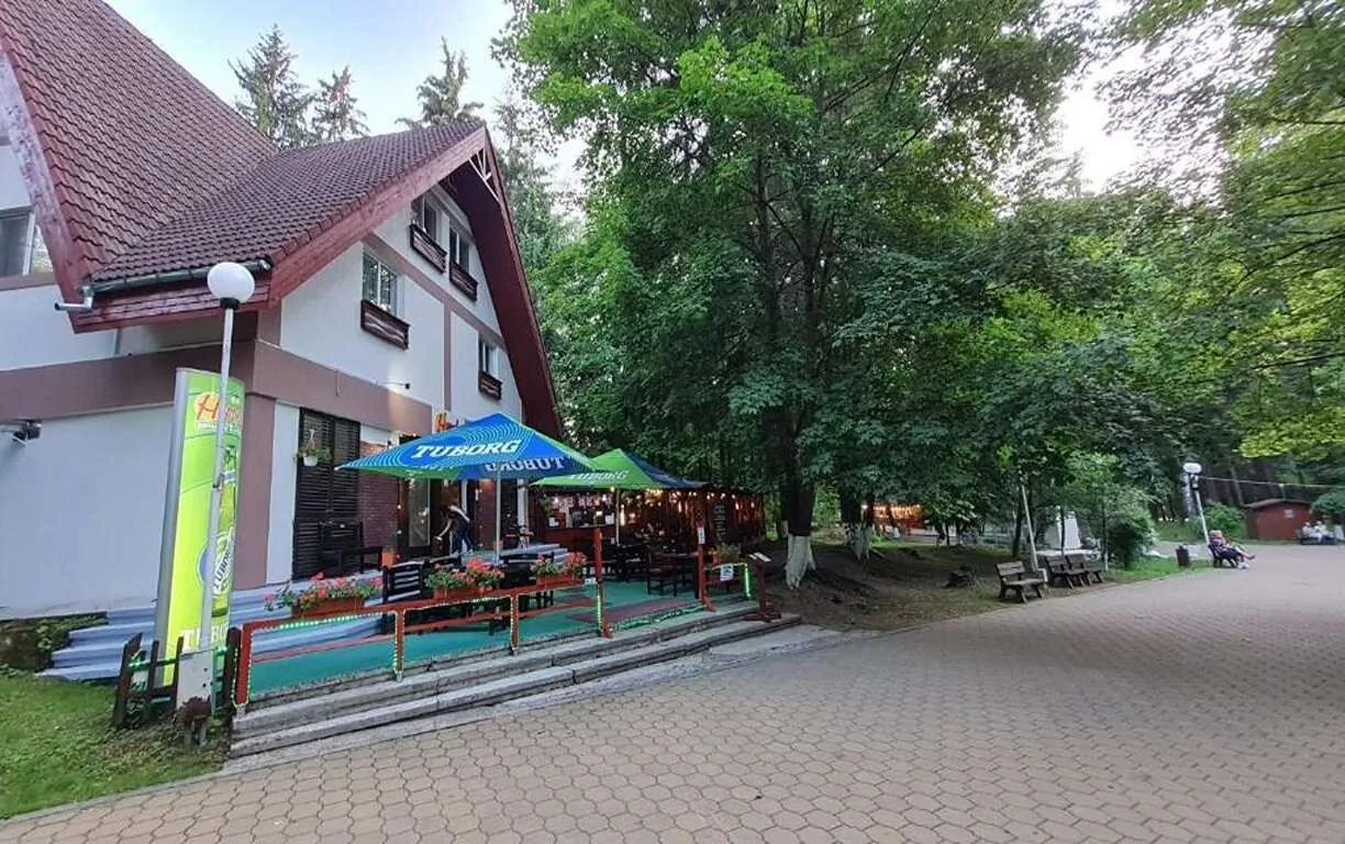Pensiunea Happy Inn Vatra Dornei – Vatra Dornei, România