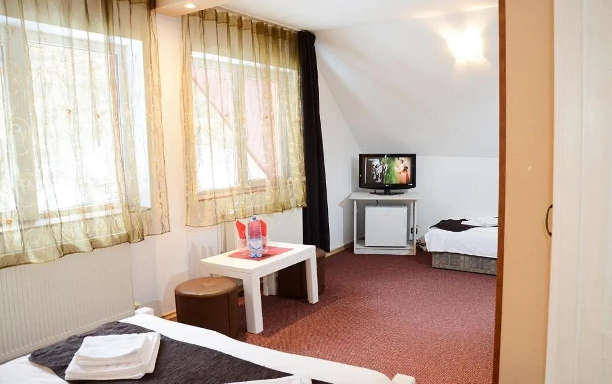 Pensiunea Happy Inn Vatra Dornei – Vatra Dornei, România