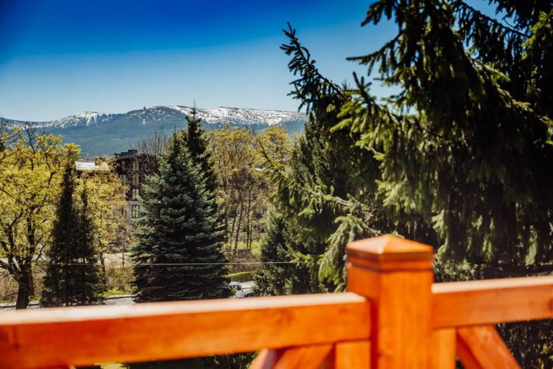 Muflonik - Apartament "Oko Szrenicy" Szklarska Poręba - foto 8