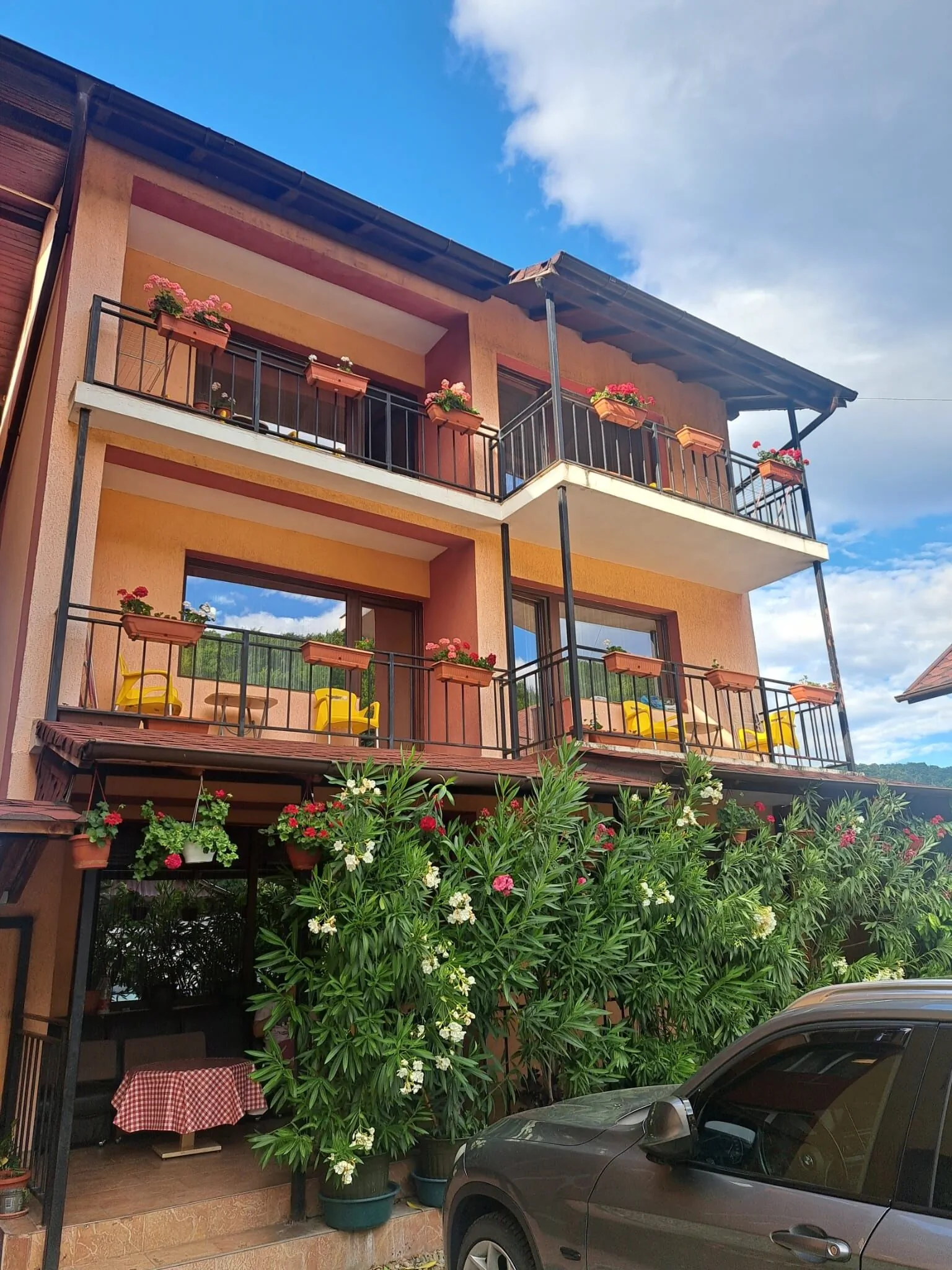 Vila Rozmarin Băile Olăneşti - foto 1