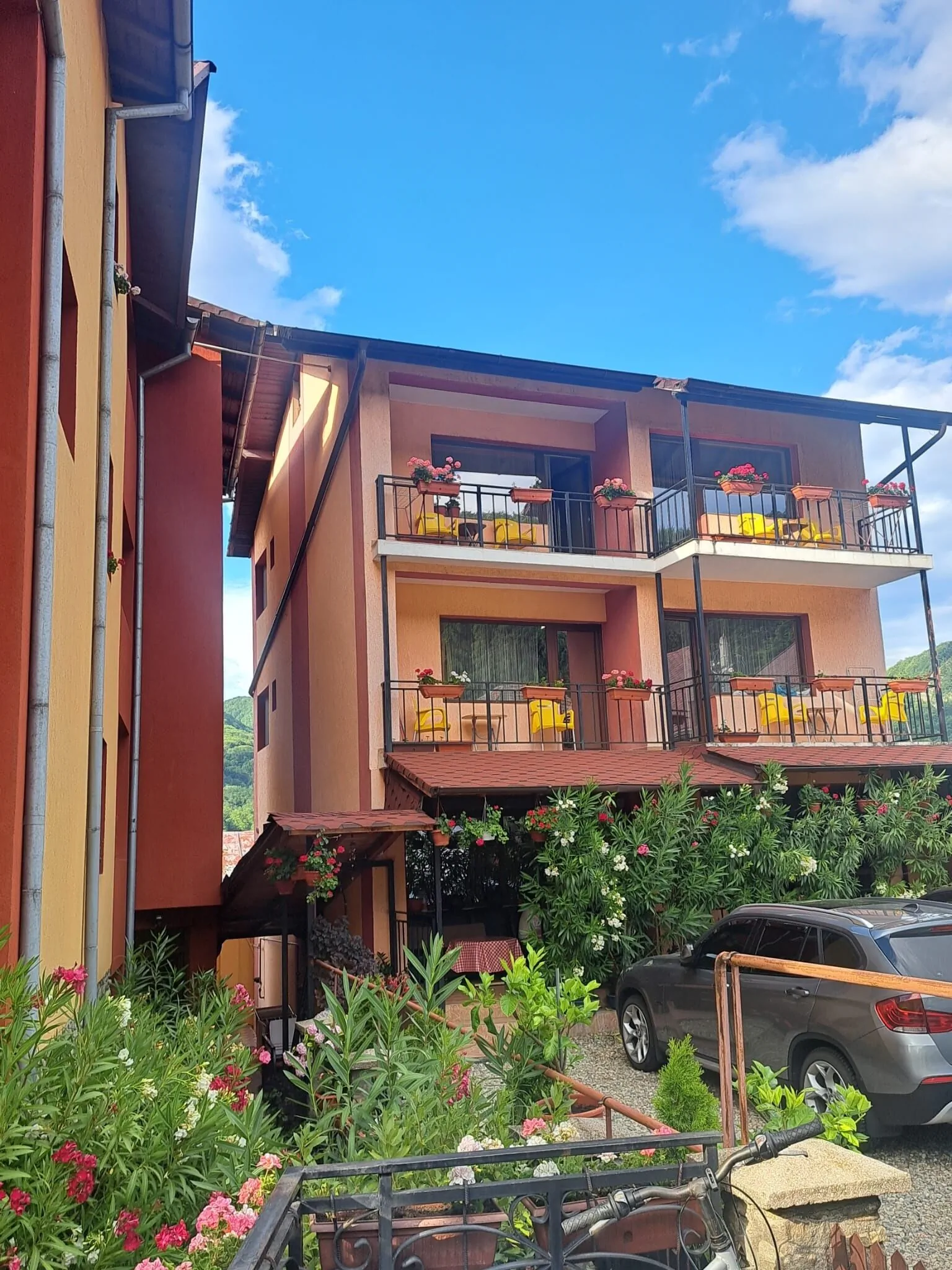 Vila Rozmarin Băile Olăneşti - foto 3