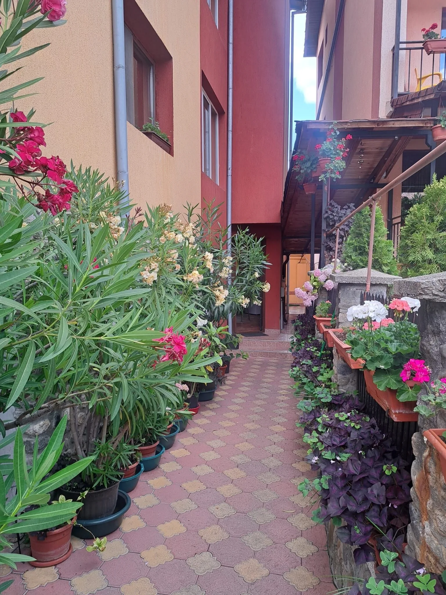 Vila Rozmarin Băile Olăneşti - foto 4