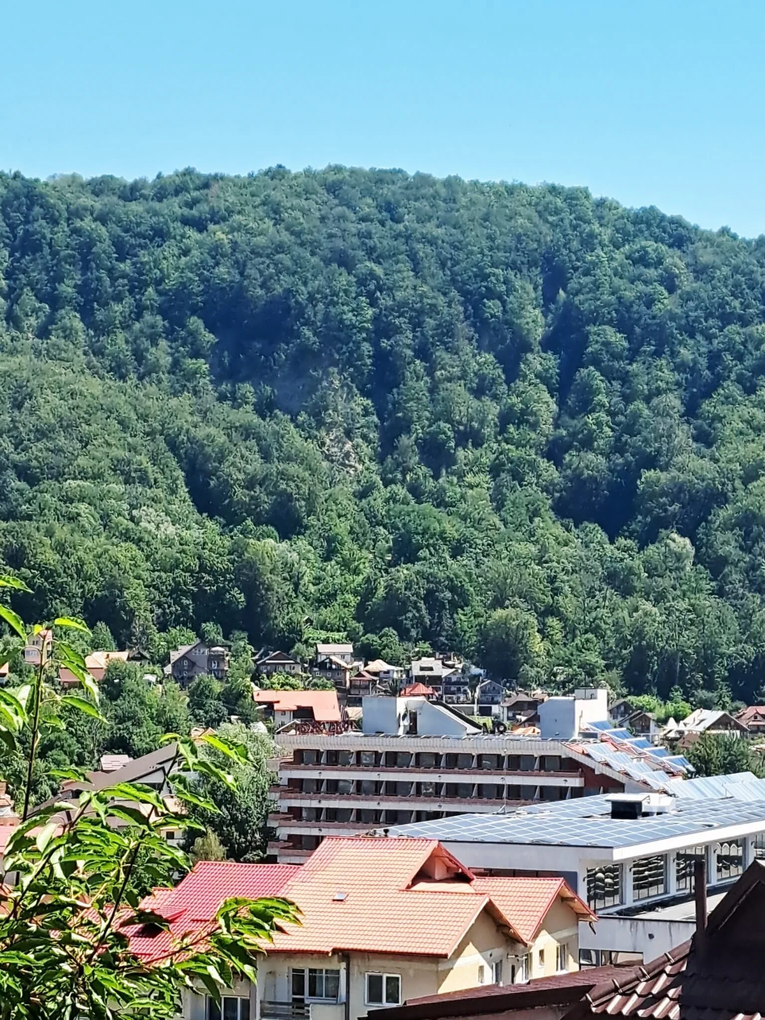 Vila Rozmarin Băile Olăneşti - foto 8