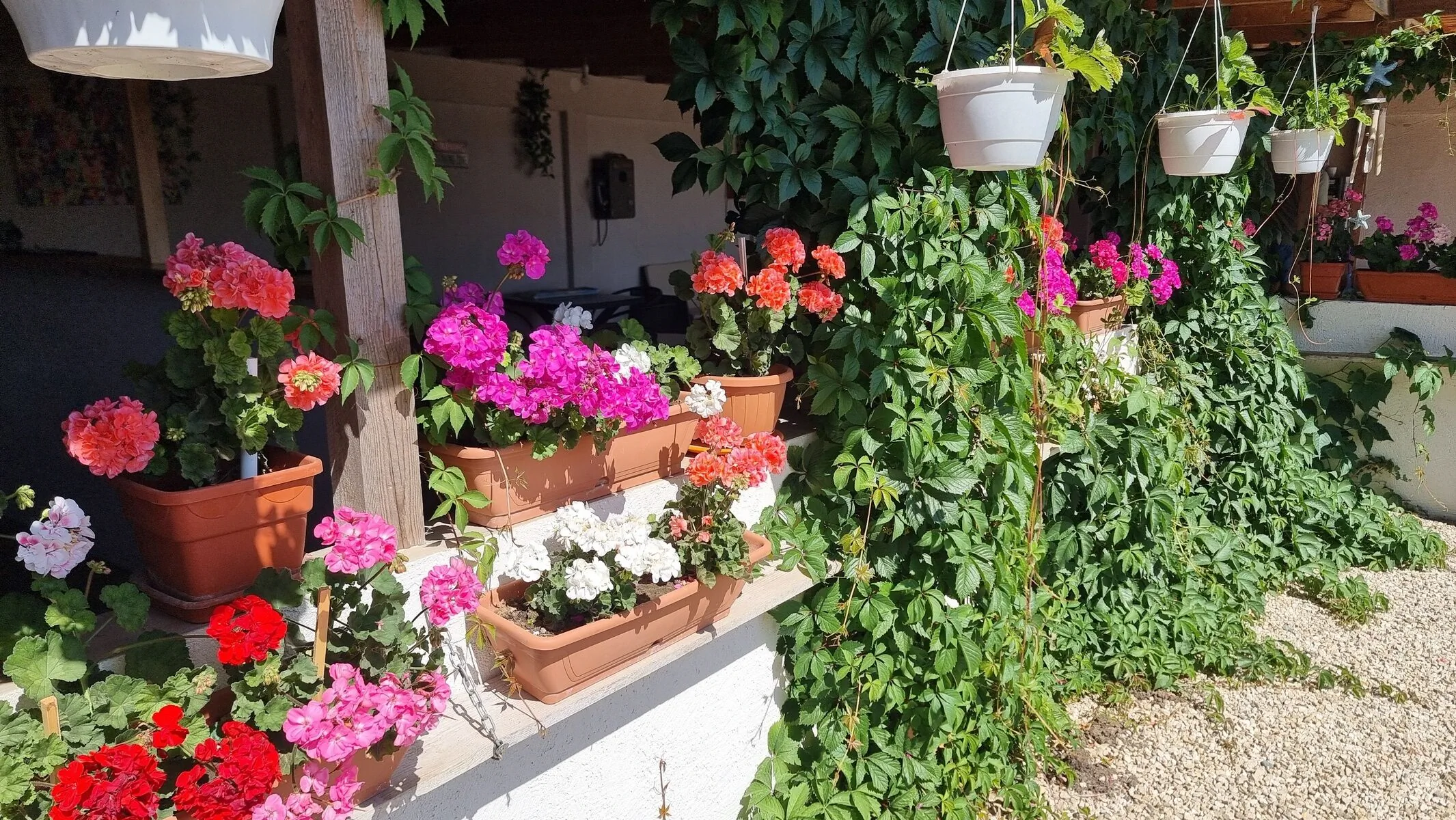 Casa Soliday Vama Veche – Vama Veche, România