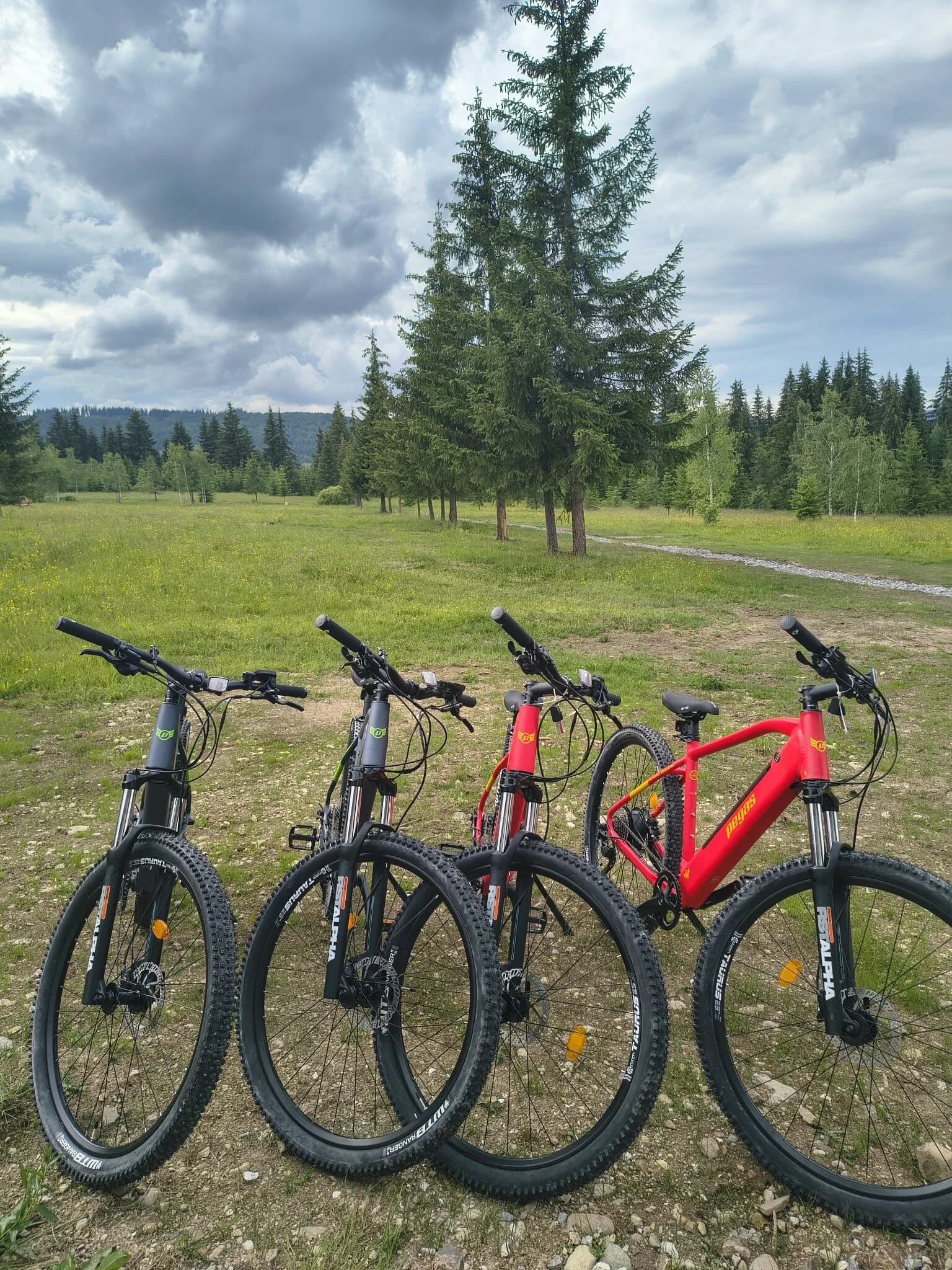 WildKind Nature Retreat Sărișor – Sărișor, România