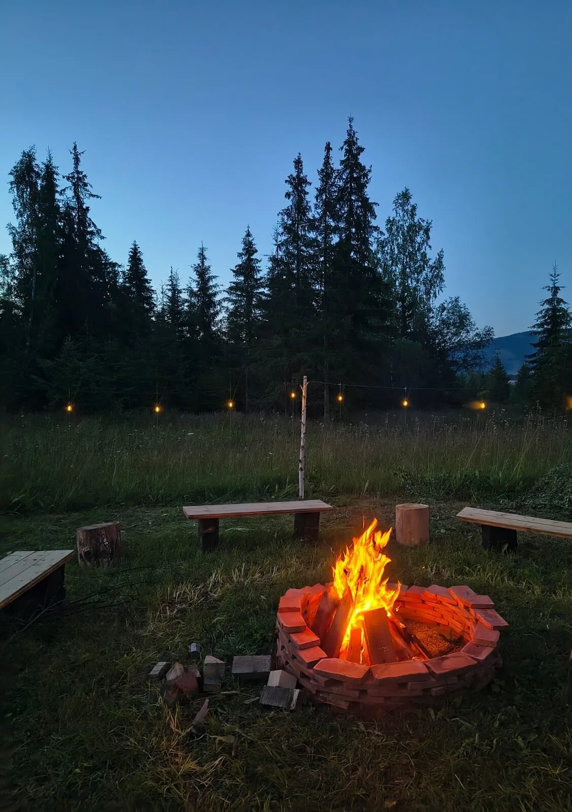WildKind Nature Retreat Sărișor – Sărișor, România