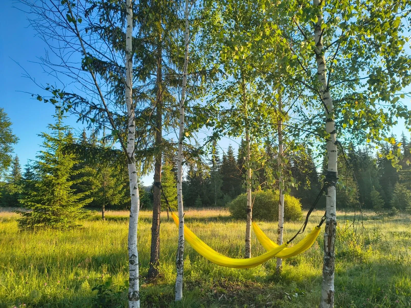 WildKind Nature Retreat Sărișor – Sărișor, România