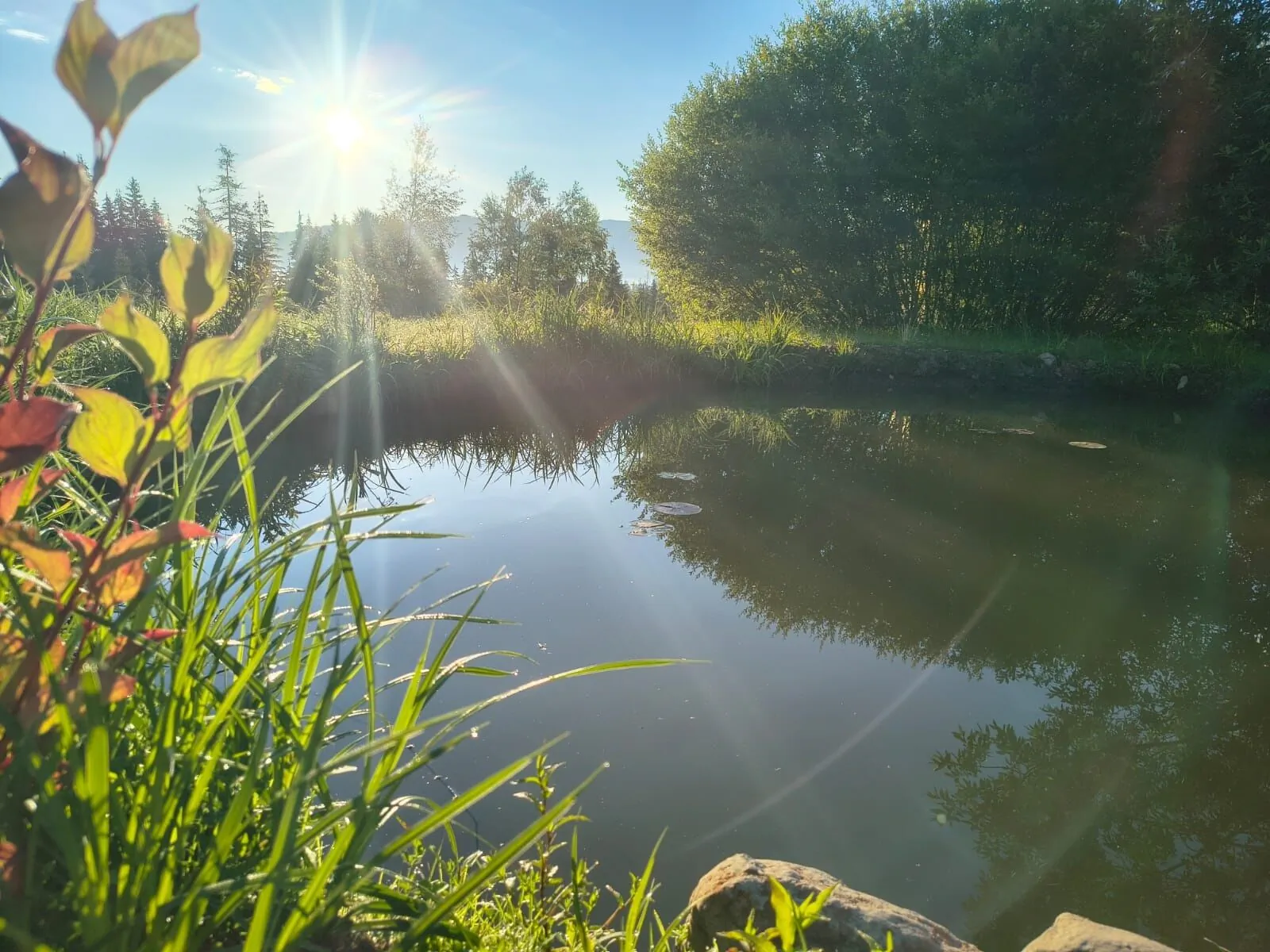 WildKind Nature Retreat Sărișor – Sărișor, România