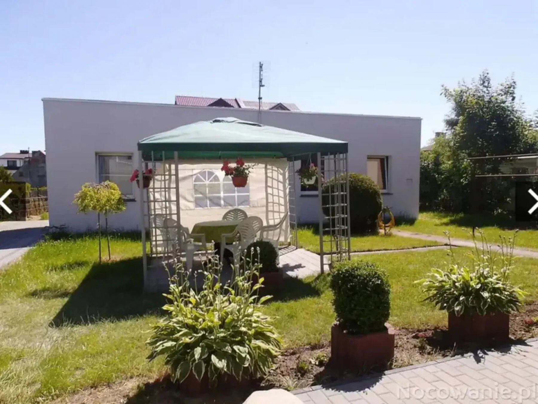 Alberdo domki w pawilonie Władysławowo - foto 4