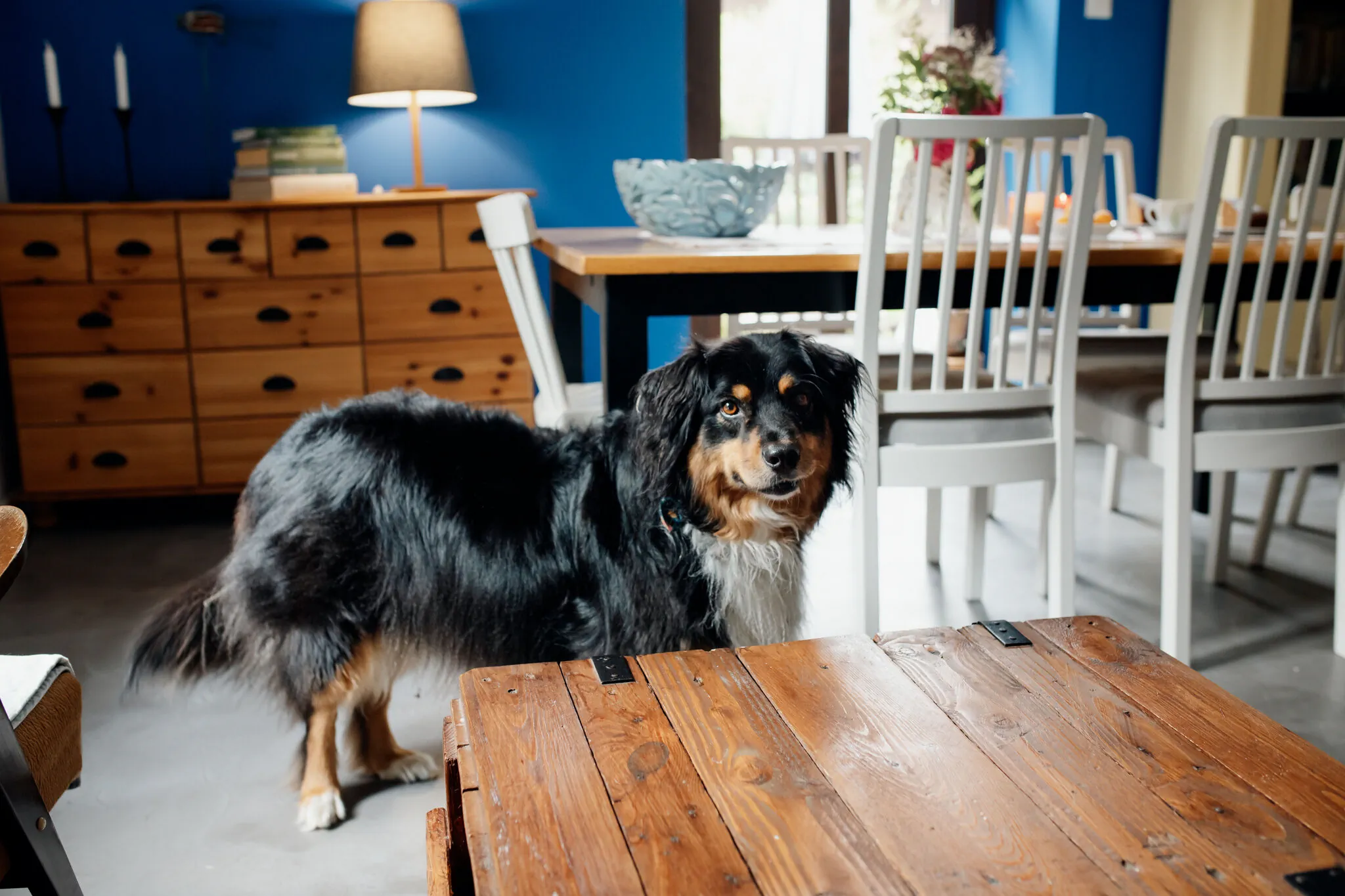 Leśniczówka Dobrocin Małdyty – Małdyty, Polonia
