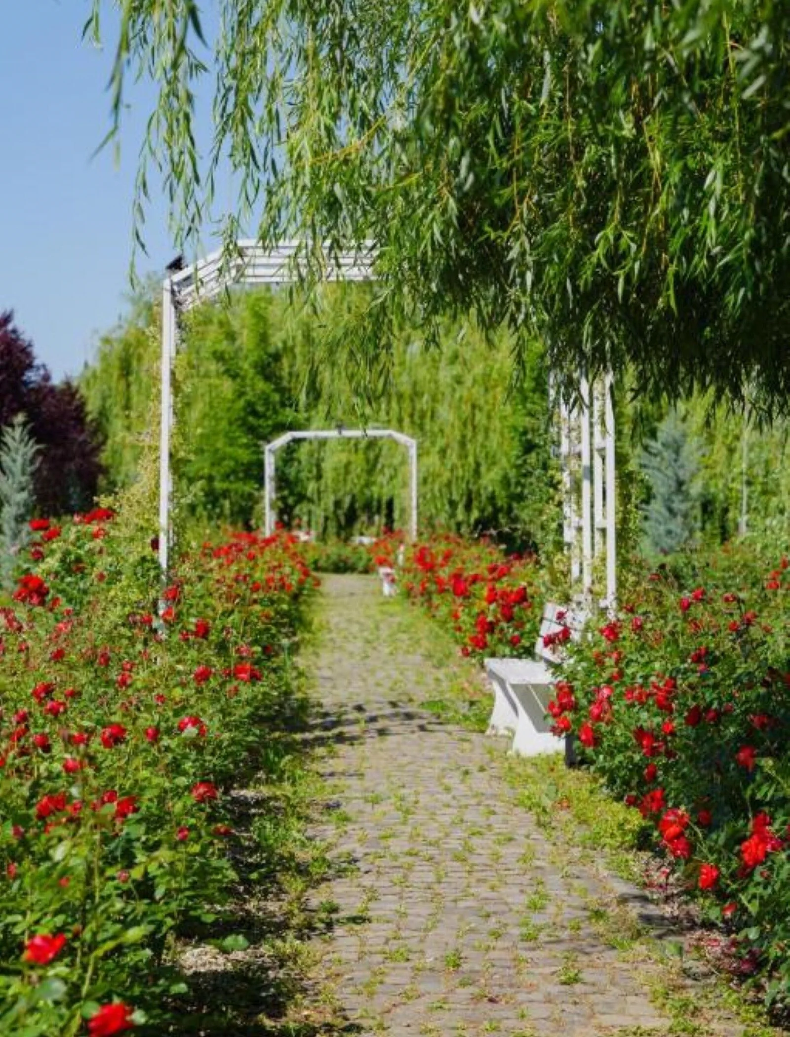 Hanul Moara cu Noroc Ineu – Ineu, România