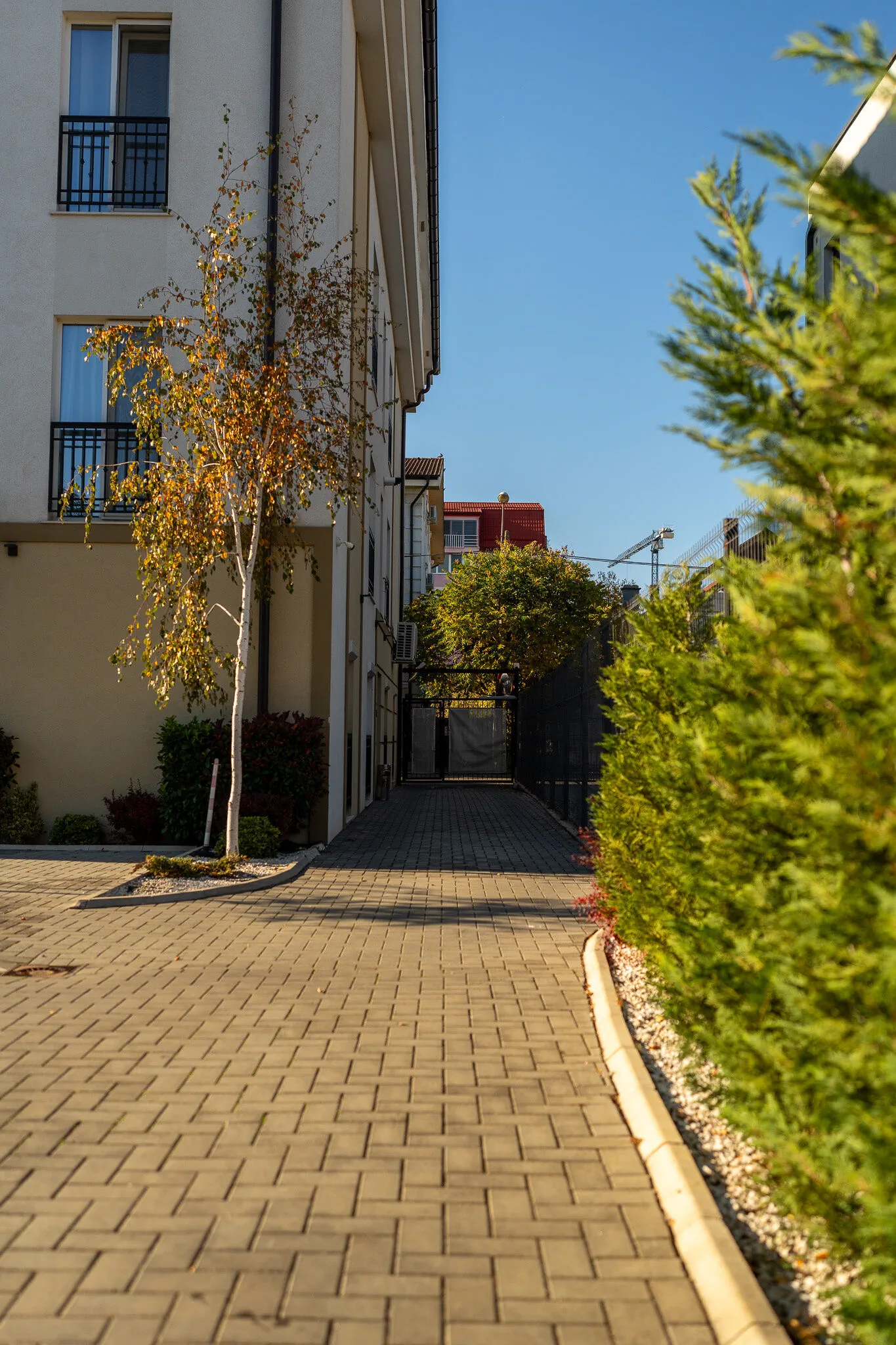 Esther Line Apartments Timișoara – Timișoara, România