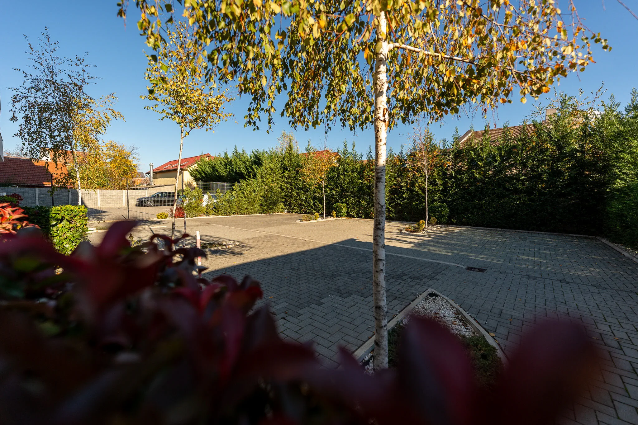 Esther Line Apartments Timișoara – Timișoara, România