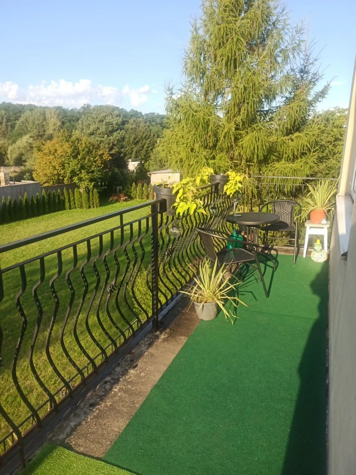 Zielony Azyl - foto 5
