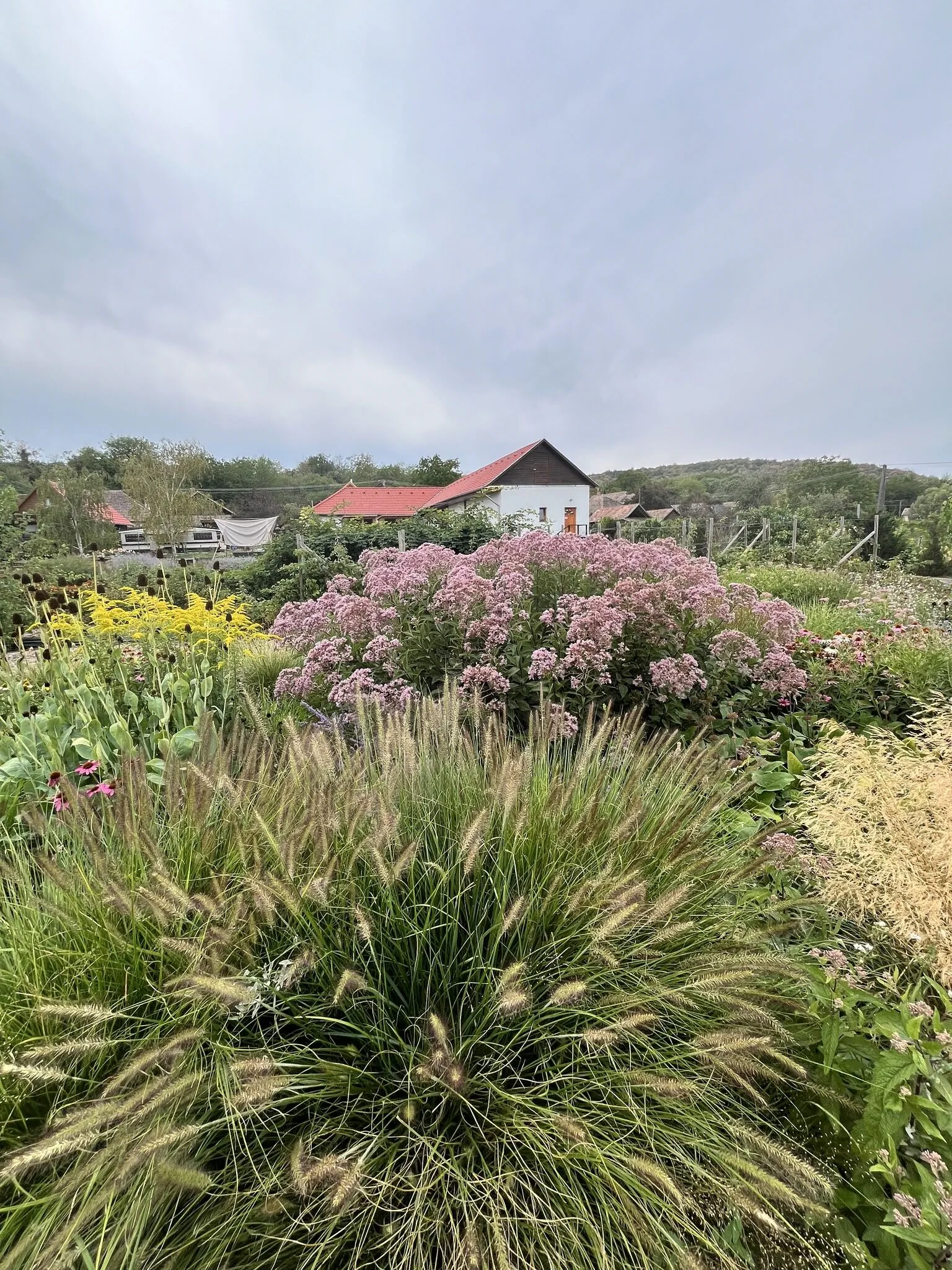 Béri Birtok Bér – Bér, Ungaria